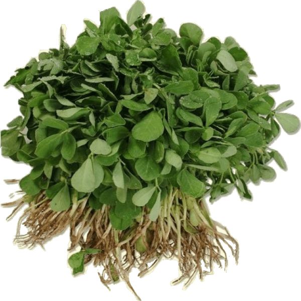 Fenugreek Methi - मेथी भाजी